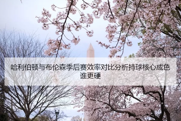 哈利伯顿与布伦森季后赛效率对比分析持球核心成色谁更硬