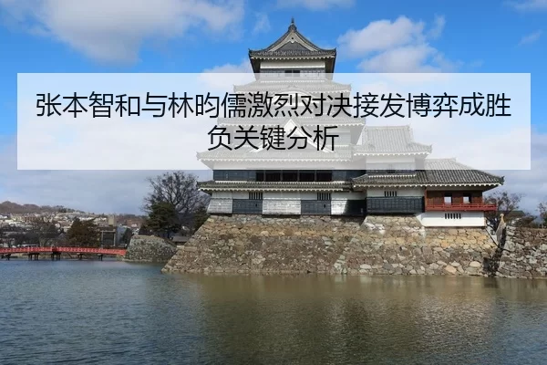 张本智和与林昀儒激烈对决接发博弈成胜负关键分析