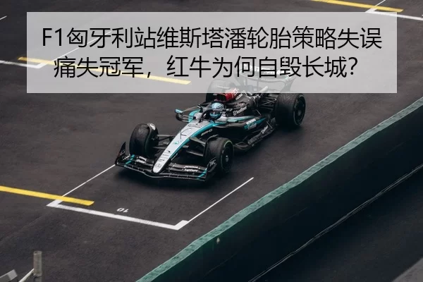 xiong-ya-li-zhan-wei-si-ta-pan-lun-tai-ce-lve-shi-wu-tong-shi-guan-jun-hong-niu-wei-he-zi-hui-chang-cheng-3-555.jpg