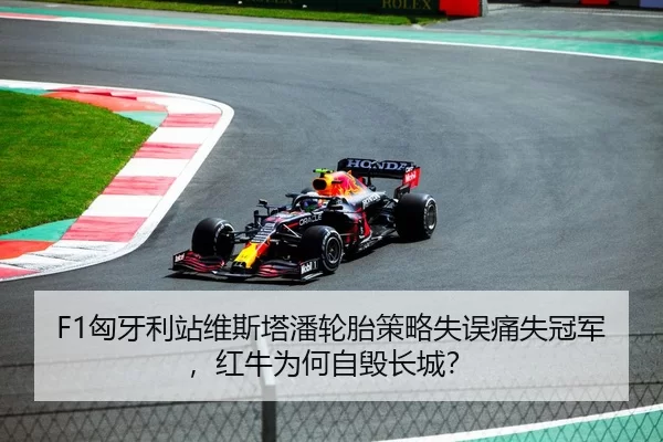 F1匈牙利站维斯塔潘轮胎策略失误痛失冠军，红牛为何自毁长城？
