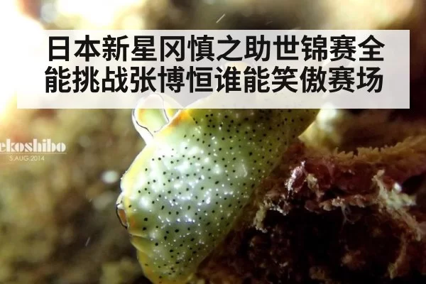 日本新星冈慎之助世锦赛全能挑战张博恒谁能笑傲赛场